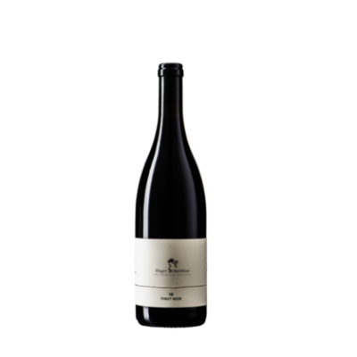 Pinot Noir 2020, Matthias Hager, Kamptal, 0,75l